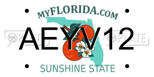 AEYV12 Florida License Plate