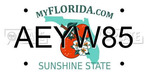 AEYW85 Florida License Plate