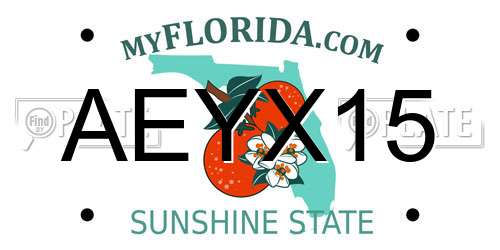 AEYX15 Florida License Plate