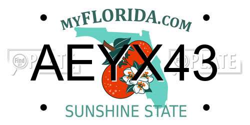 AEYX43 Florida License Plate