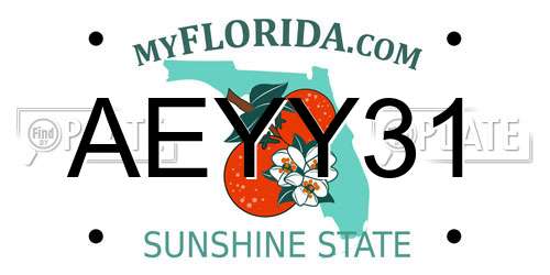 AEYY31 Florida License Plate