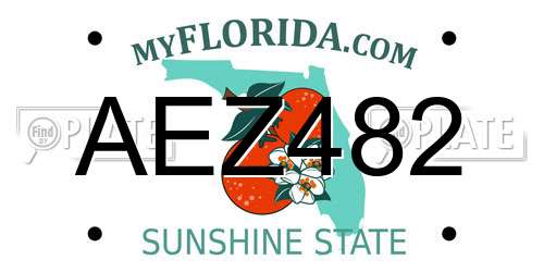 AEZ482 Florida License Plate
