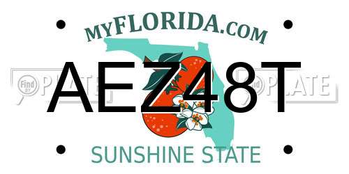 AEZ48T Florida License Plate