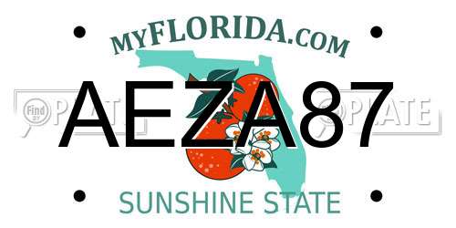 AEZA87 Florida License Plate