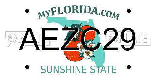 AEZC29 Florida License Plate