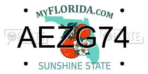 AEZG74 Florida License Plate
