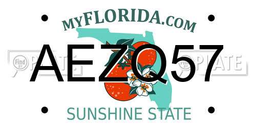 AEZQ57 Florida License Plate
