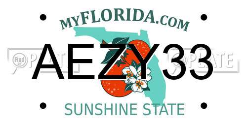 AEZY33 Florida License Plate