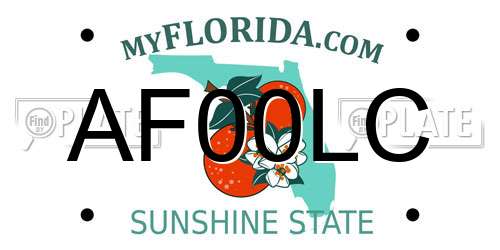 AF00LC Florida License Plate