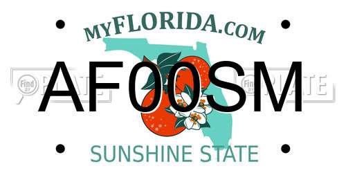 AF00SM Florida License Plate