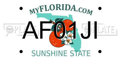 AF01JI Florida License Plate
