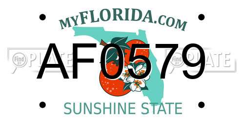 AF0579 Florida License Plate