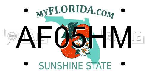 AF05HM Florida License Plate