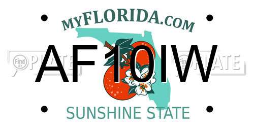AF10IW Florida License Plate
