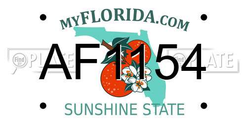 AF1154 Florida License Plate