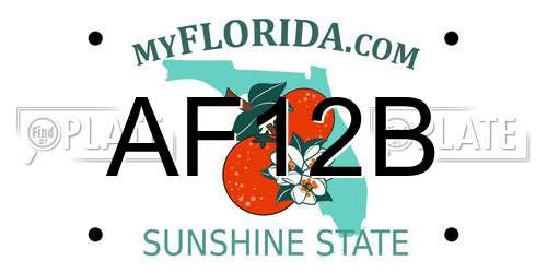 AF12B Florida License Plate