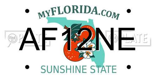 AF12NE Florida License Plate