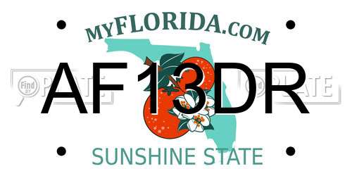 AF13DR Florida License Plate