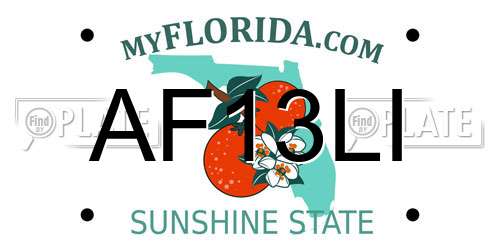 AF13LI Florida License Plate