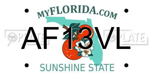 AF13VL Florida License Plate