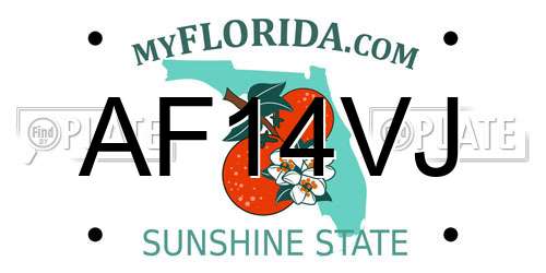 AF14VJ Florida License Plate