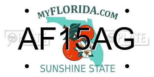 AF15AG Florida License Plate