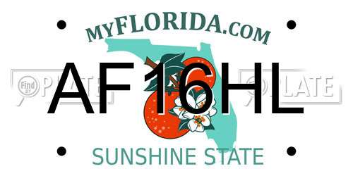 AF16HL Florida License Plate