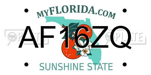 AF16ZQ Florida License Plate