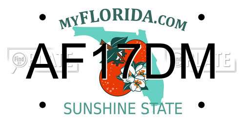 AF17DM Florida License Plate