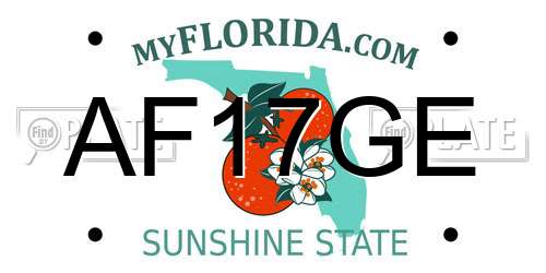 AF17GE Florida License Plate