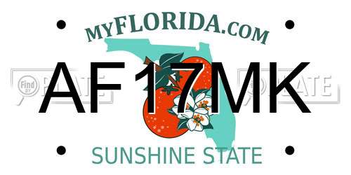 AF17MK Florida License Plate