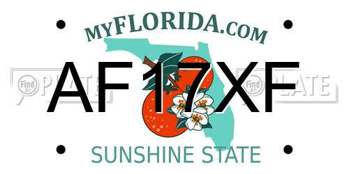 AF17XF Florida License Plate