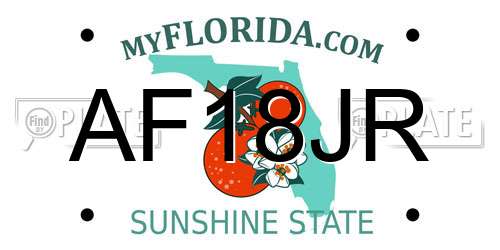 AF18JR Florida License Plate