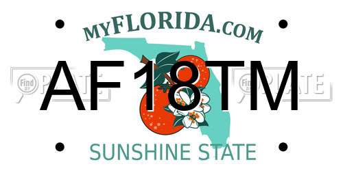 AF18TM Florida License Plate