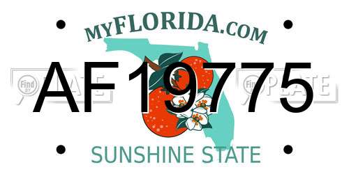 AF19775 Florida License Plate