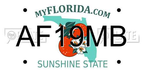 AF19MB Florida License Plate