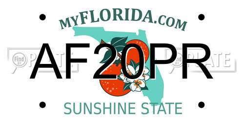 AF20PR Florida License Plate
