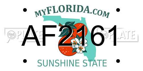 AF2161 Florida License Plate