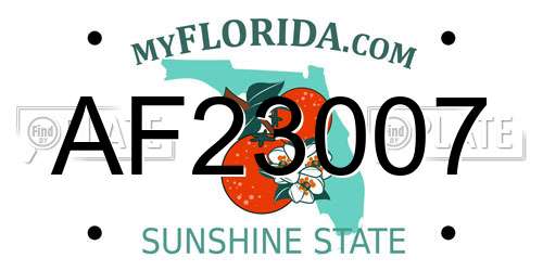 AF23007 Florida License Plate