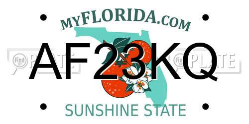 AF23KQ Florida License Plate