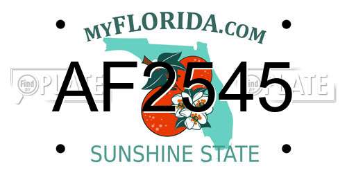AF2545 Florida License Plate