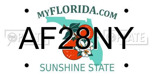 AF28NY Florida License Plate