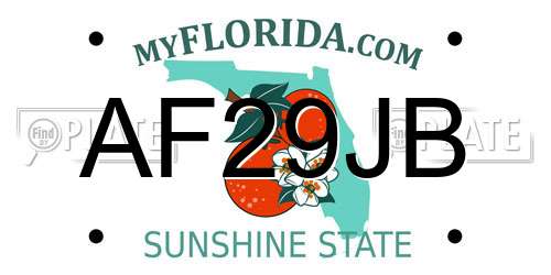 AF29JB Florida License Plate