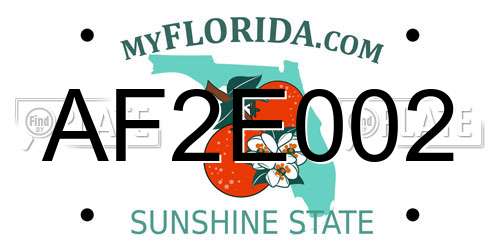 AF2E002 Florida License Plate