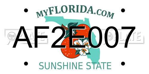 AF2E007 Florida License Plate