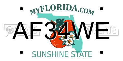 AF34WE Florida License Plate