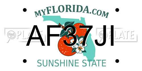 AF37JI Florida License Plate