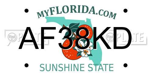 AF38KD Florida License Plate