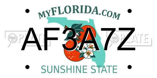 AF3A7Z Florida License Plate