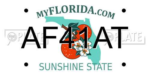 AF41AT Florida License Plate